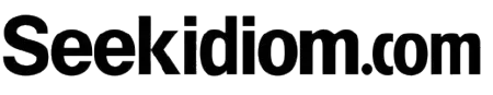 Seekidiom Logo